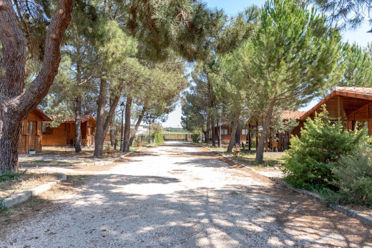 Las Casitas Del Pinar Bayubas de Abajo Esterno foto